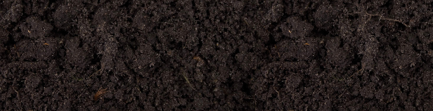 Jonathan Justus’ Next Restaurant: Black Dirt