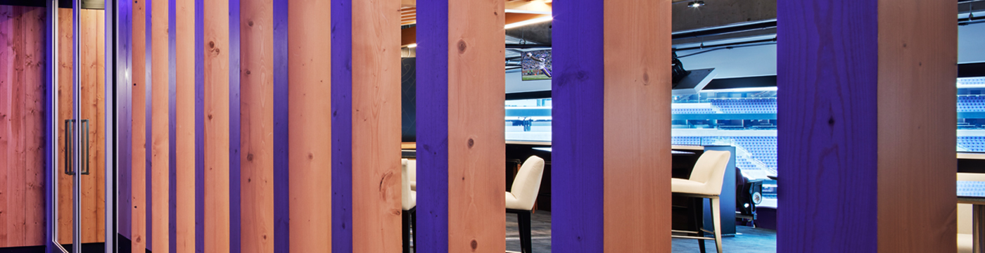 Vikings Select Generator Studio for Another Renovation