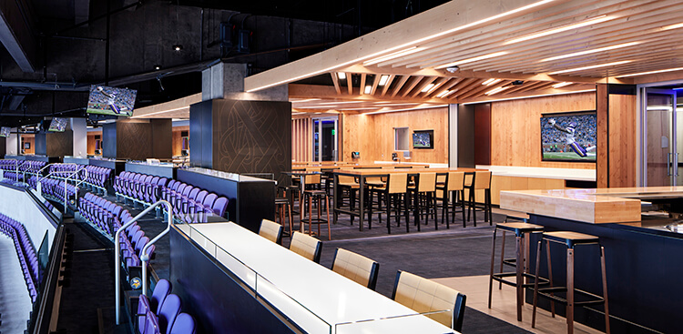 minnesota vikings suites