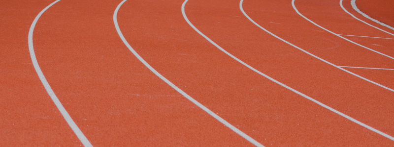 From Athlete to Sports Architect